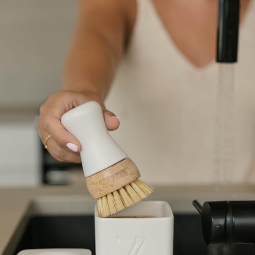 Nellie's - Forever Brush - Image 4