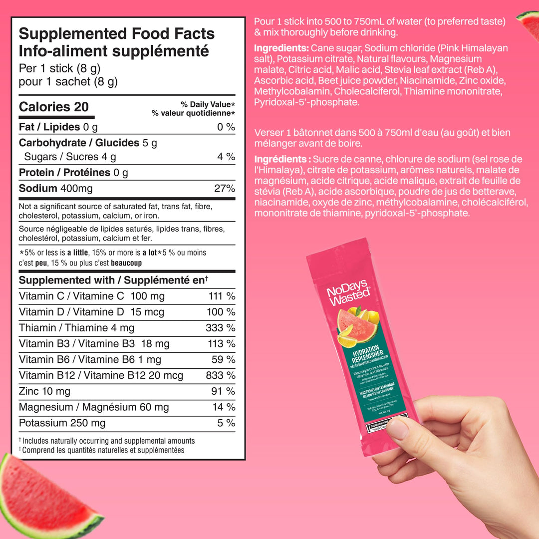 No Days Wasted - Watermelon Lemonade (15pk) - Image 9