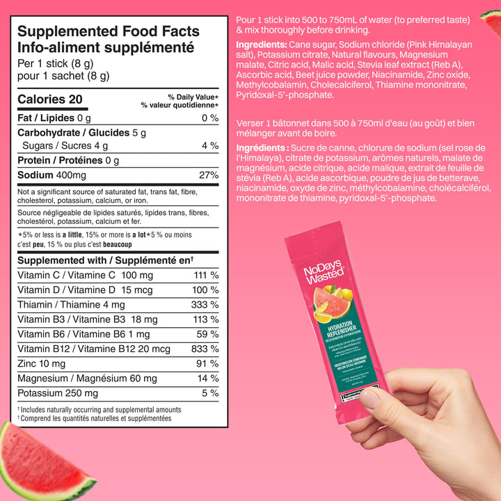 No Days Wasted - Watermelon Lemonade (15pk) - Image 9
