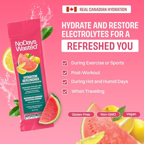 No Days Wasted - Watermelon Lemonade (15pk) - Image 4