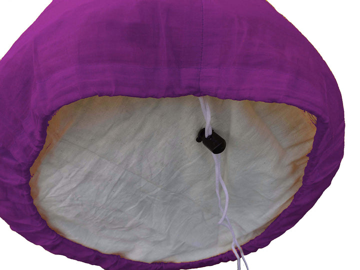 Saffron - Saffron 2020 (30cap) - Image 4