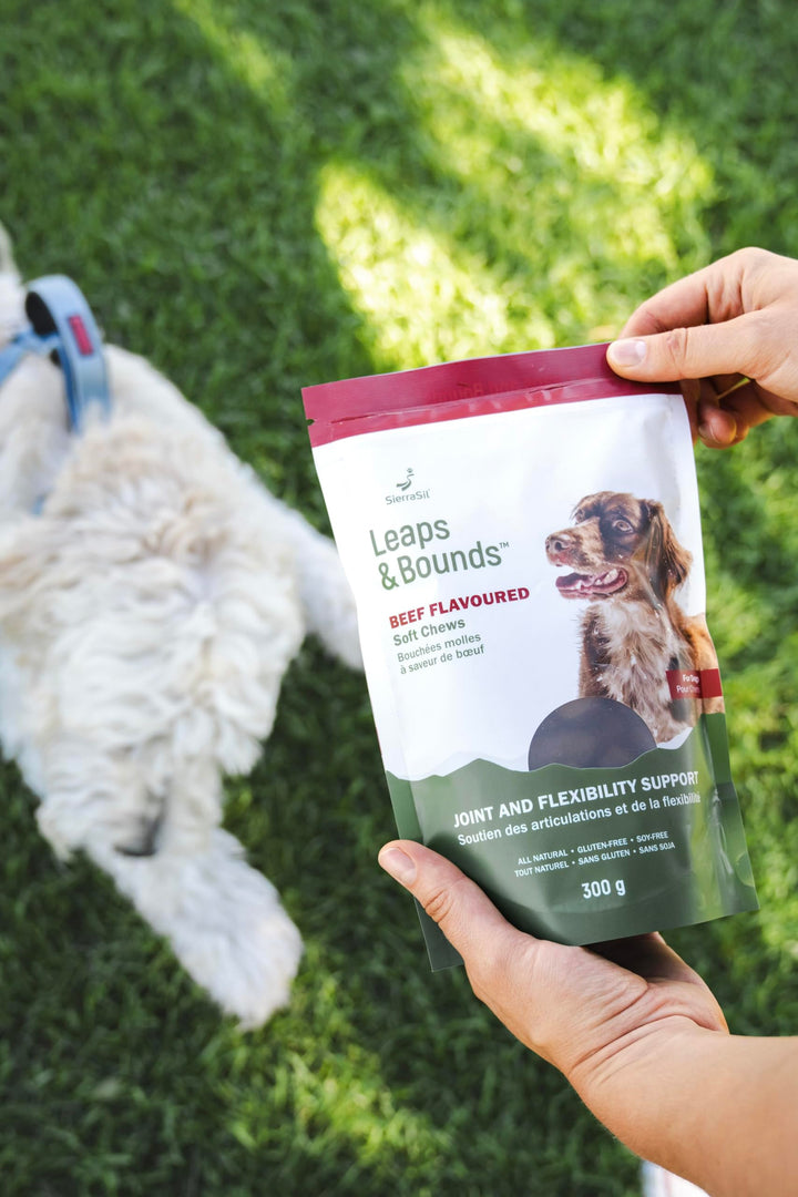 Sierrasil - Leaps & Bounds Beef (100 Bites) - Image 6
