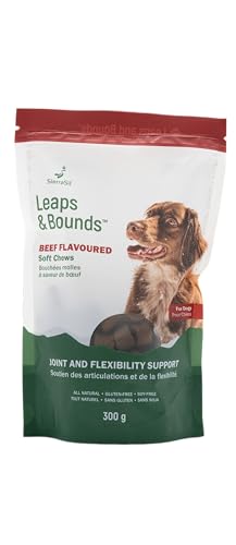 Sierrasil - Leaps & Bounds Beef (100 Bites) - Image 1
