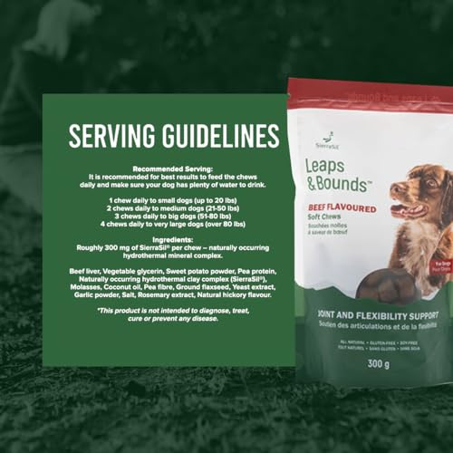 Sierrasil - Leaps & Bounds Beef (100 Bites) - Image 10
