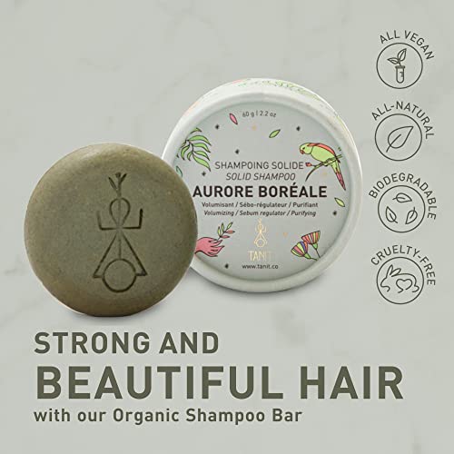 Tanit - Aurore Boréale Shampoo Bar (60g) - Image 4