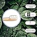 The Future Is Bamboo - Cloud Brush (6/Box) - Image 9