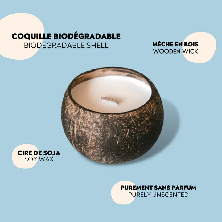 The Future Is Bamboo - Clean Bloom Coco Candle - Image 3
