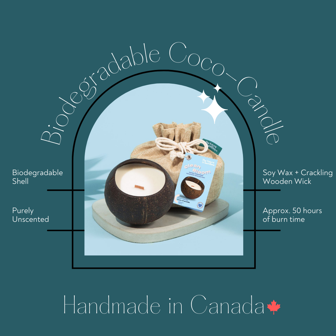 The Future Is Bamboo - Clean Bloom Coco Candle - Image 5