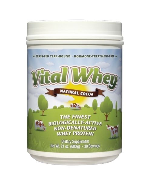 Wellwisdom - Vital Whey Cocoa (600gr) - Image 1