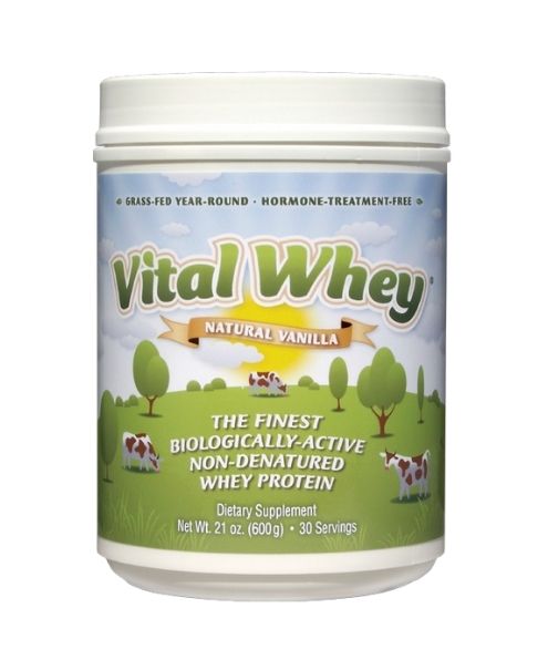 Wellwisdom - Vital Whey Vanilla (600gr) - Image 1