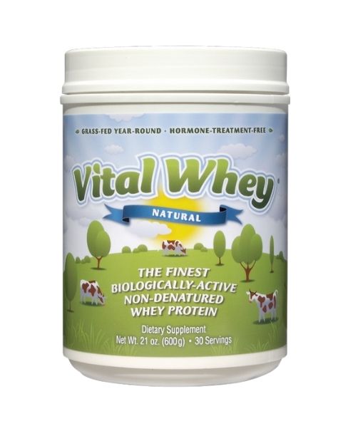 Wellwisdom - Vital Whey Natural (600gr) - Image 1