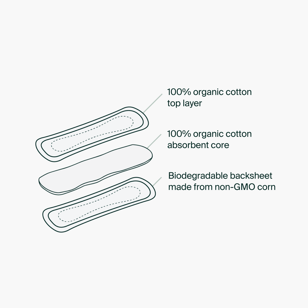 Iris + Arlo Inc. - Pantyliners, reg - 100% Organic Cotton - Image 3