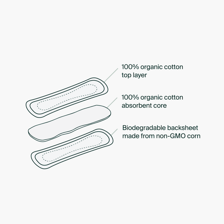 Iris + Arlo Inc. - Pantyliners, reg - 100% Organic Cotton - Image 3