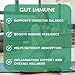 Gut Immune, 60 vcaps - Provita - Image 8