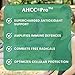 AHCC Complex 80 caps - Provita - Image 8