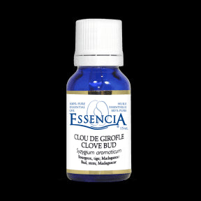 Essential Oil Clove - Image 2