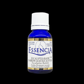 Essential oil Eucalyptus Radiata - Image 1