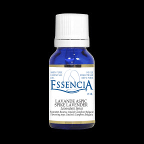 Essential Oil Lavender Aspic - Image 1