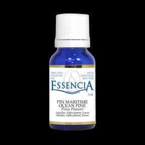 Essential Oil Ocean Pine - Image 4