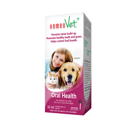 Oral Health - Image 1