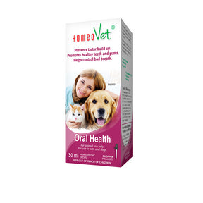 Oral Health - Image 4