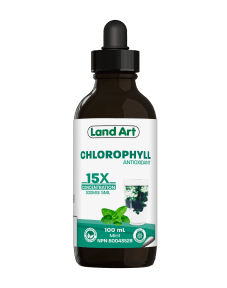 Chlorophyll Concentrated 15X Mint - Image 2