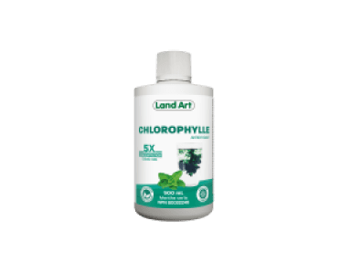 Chlorophyll(e) Conc. 5X Mint - Image 1