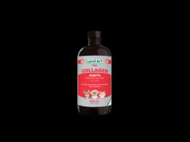 Collagen For Pets - Image 2