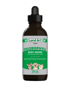 Chlorophyll For Pets - Image 3