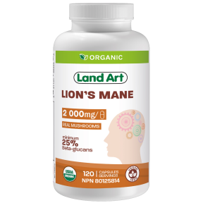 Organic Lion's Mane 2000mg - Image 4