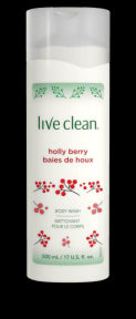 Holly Berry Body Wash - Image 4