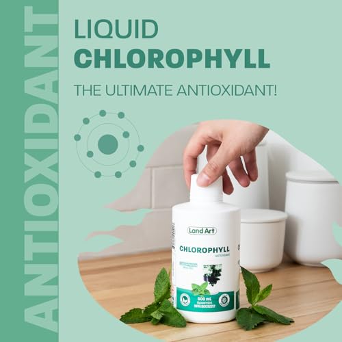 Chlorophyll Mint - Image 8