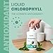 Chlorophyll Mint - Image 9