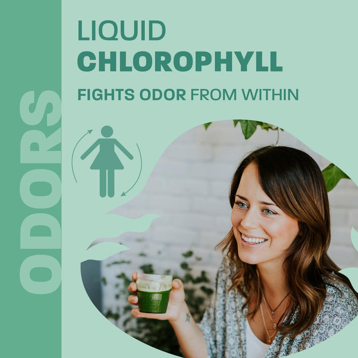 Chlorophyll Mint - Image 10