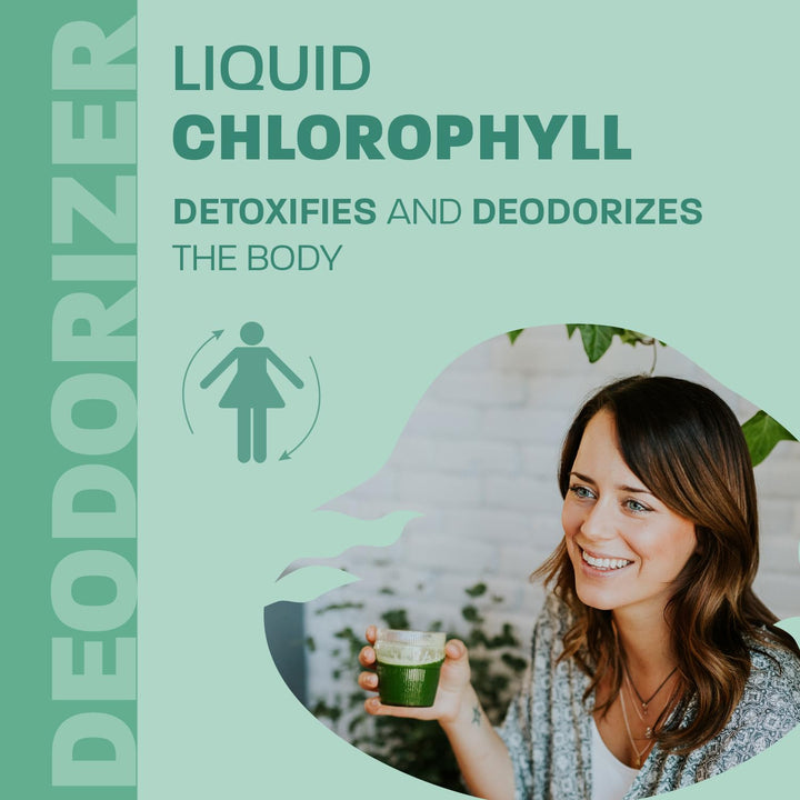 Chlorophyll Eucalyptus - Image 10