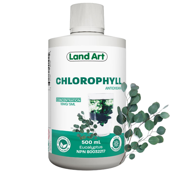 Chlorophyll Eucalyptus - Image 1