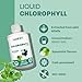 Chlorophyll Apple - Image 6