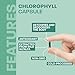 Chlorophyll Capsules - Image 6