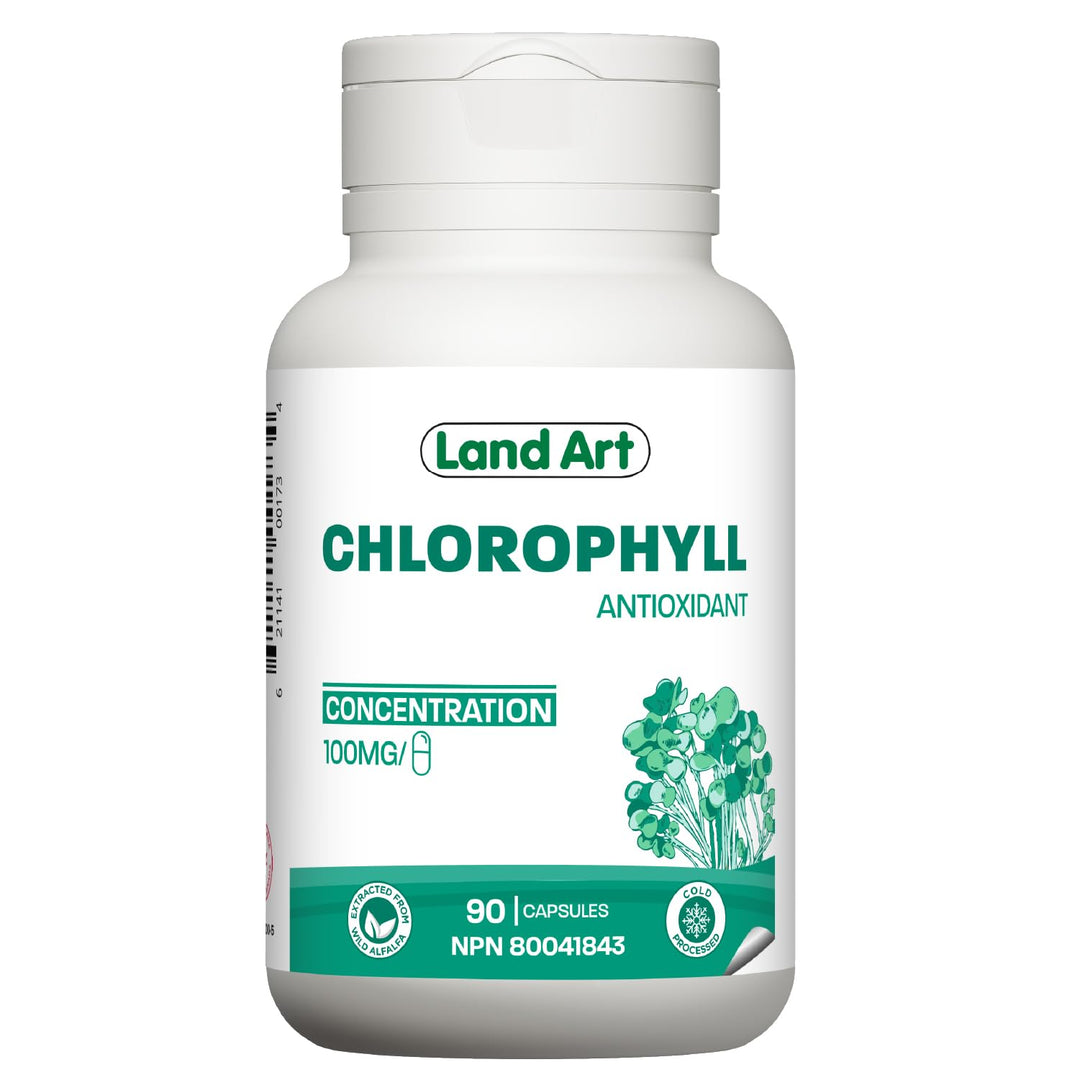 Chlorophyll Capsules - Image 1