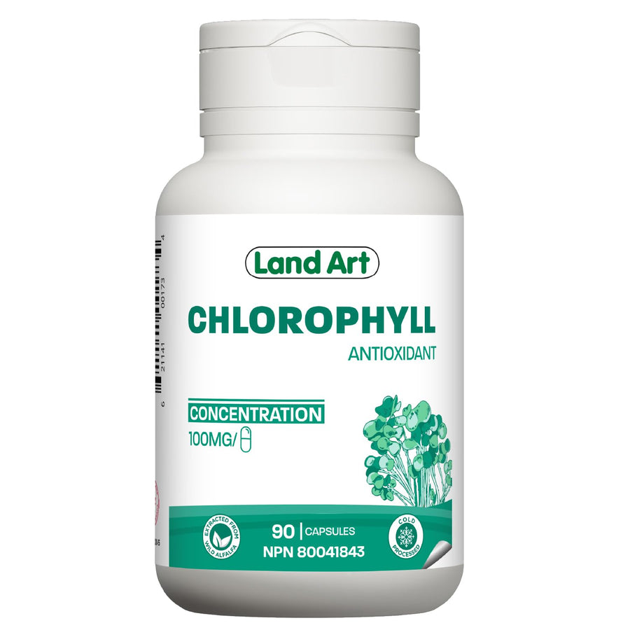 Chlorophyll Capsules - Image 1