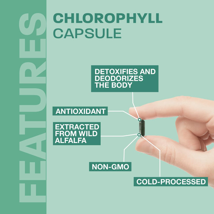Chlorophyll Capsules - Image 4