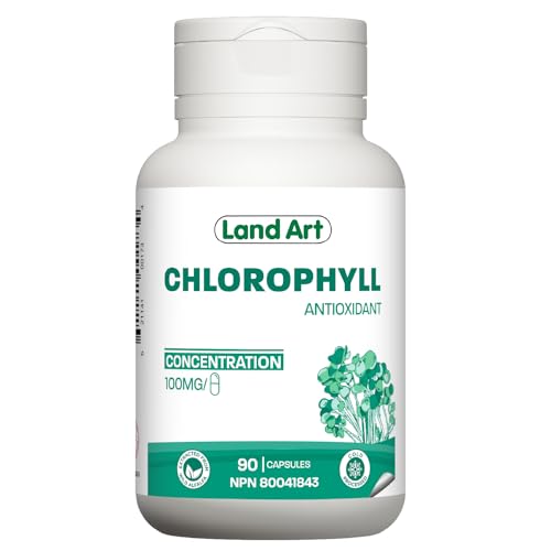 Chlorophyll Capsules - Image 2