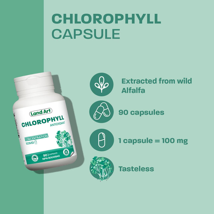 Chlorophyll Capsules - Image 7