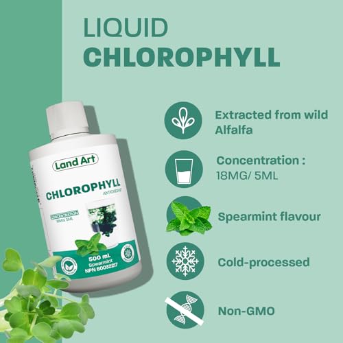 ChlOralfa Breath Freshener - Mint - Image 4