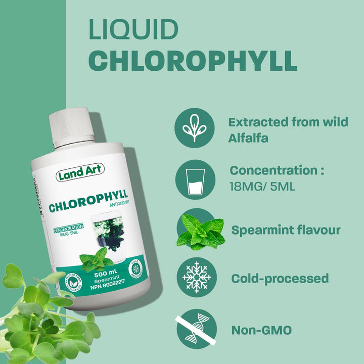 ChlOralfa Breath Freshener - Mint - Image 6
