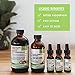 Organic Mushroom Extract - Image 9