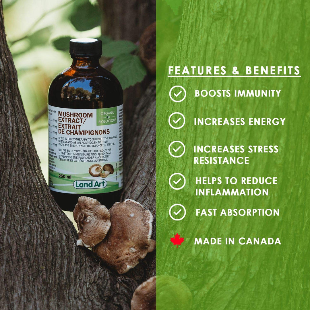 Organic Mushroom Extract - Image 4