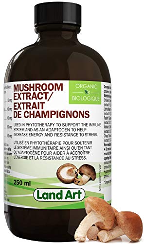 Organic Mushroom Extract - Image 2