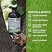 Organic Mushroom Extract - Image 6