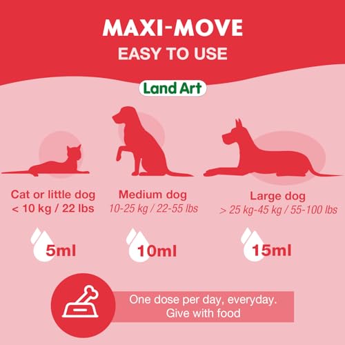 Maxi-Move - Image 10